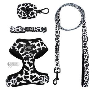 Dog Four Piece Bundle - Whole Milk Clearance Genuine