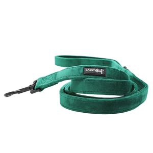 Dog Leash - Nice Discount Free Shipping