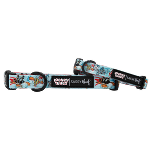 Dog Collar - Looney Tunes™ Blue With Mastercard For Sale
