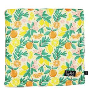 Cat Blanket - Zest Friends Sale Official