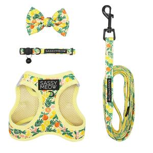 Cat Bundle - Zest Friends Genuine Sale Online