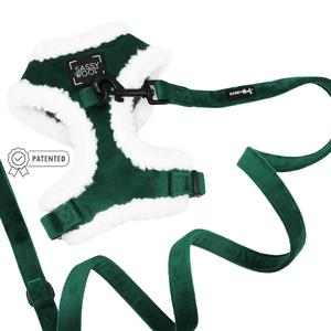 Dog Two Piece Bundle - Nice New For Sale