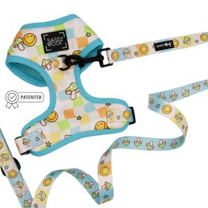 Dog Two Piece Bundle - Mush Love 2025 Newest