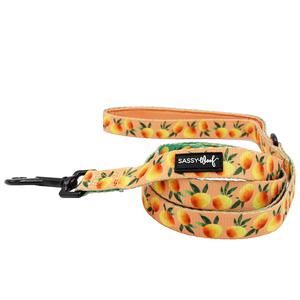 Dog Leash  - Mango Tango Pay With Visa