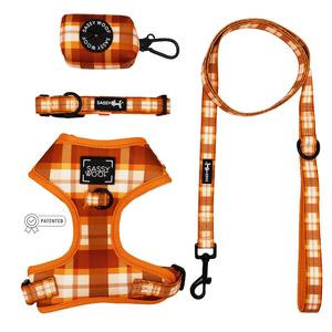 Dog Four Piece Bundle - Spiced Harvest Release Dates Cheap Online