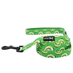 Dog Leash  - Kiwi Krazy Outlet Hot Sale