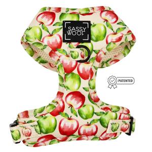 Dog Adjustable Harness - Apple of My Eye 2025 Newest