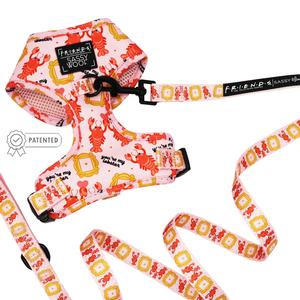 Dog Two Piece Bundle -  Friends™ (Lobster) Fashionable Cheap Online