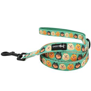 Dog Leash - Pawfect Poms 100% Authentic Sale Online