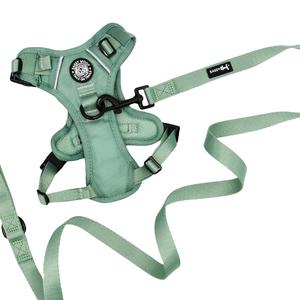 Dog Two Piece Bundle - Sage Quality From China Cheap