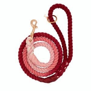 Dog Rope Leash - Beloved Marketable Cheap Pice