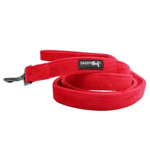 Dog Leash - Naughty 2025 Cheap Pice