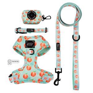 Dog Four Piece Bundle - Peach Please Inexpensive