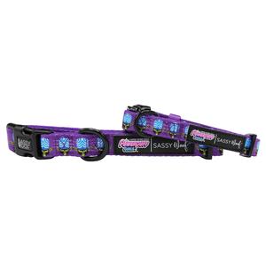 Dog Collar - Mojo Jojo™ Free Shipping Cheap Pice