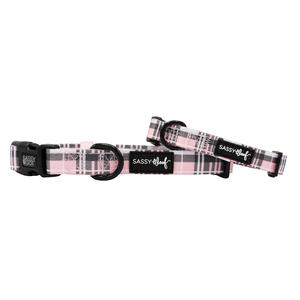 Dog Collar - Pawberry Pay With Paypal Online