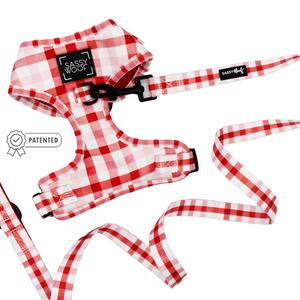 Dog Two Piece Bundle -  Picnic Fur Two Many Kinds Of Cheap Pice