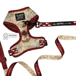 Dog Two Piece Bundle - Harry Potter™ Marauder's Map™ Clearance Discounts