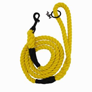 Dog Rope Leash - Neon Yellow With Paypal