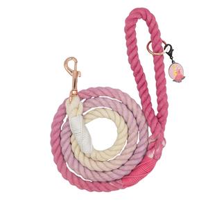 Dog Rope Leash - Disney's Aurora Low Pice Fee Shipping Online