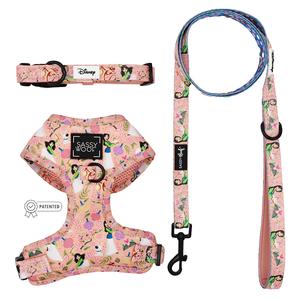 Harness Three Piece Bundle - Disney's Mulan Outlet Shop