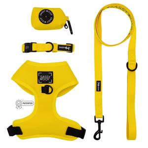 Dog Four Piece Bundle - Neon Yellow Tumblr Cheap Online
