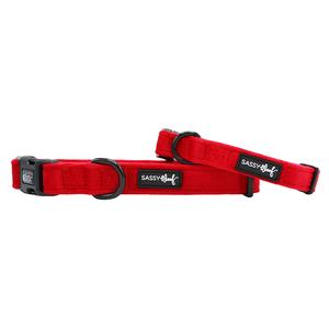 Dog Collar - Naughty Clearance Online Amazon