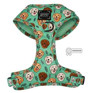 Dog Adjustable Harness - Glam Goldens Authentic