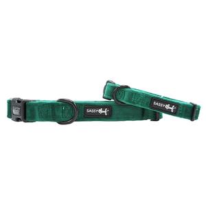 Dog Collar - Nice For Sale