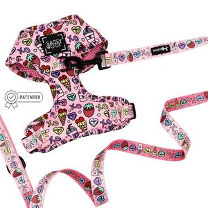 Dog Two Piece Bundle -  I Chews You Low Shipping Cheap Pice