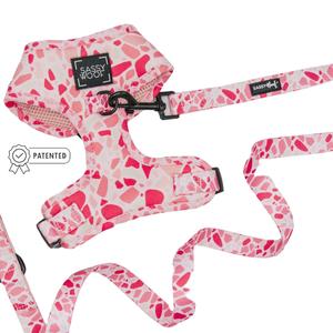 Dog Two Piece Bundle -  Mykonos Discount Fashionable
