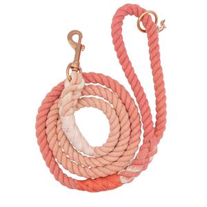 Dog Rope Leash - Dreamy Cheap Hot Sale