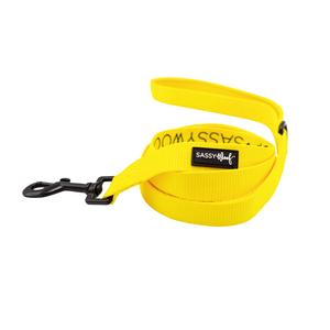 Dog Leash - Neon Yellow Pictures For Sale