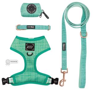 Dog Four Piece Bundle - Wag Your Teal 100% Authentic