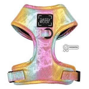 Dog Adjustable Harness - The Night Life Discount Order