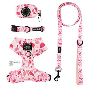 Dog Four Piece Bundle - Mykonos Free Shipping Pay With Visa
