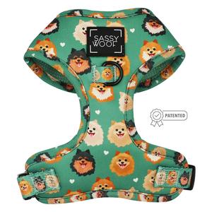 Dog Adjustable Harness - Pawfect Poms Find Great For Sale