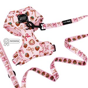 Dog Two Piece Bundle - Sweet Treats Buy Cheap Factory Outlet