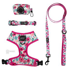 Dog Four Piece Bundle - Floral Frenzy Clearance Wide Range Of