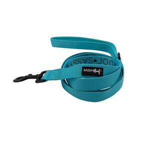 Dog Leash - Neon Blue Sale Explore