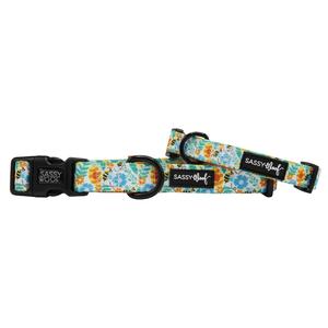 Dog Collar - Must Be the Honey Visit Sale Online