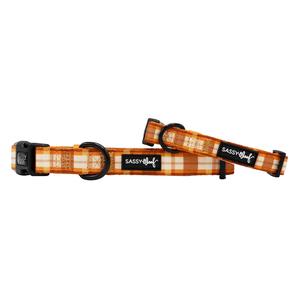 Dog Collar - Spiced Harvest Cheap Pice Free Shipping