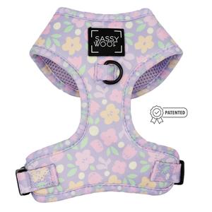 Dog Adjustable Harness - Fleur de Sass With Credit Card Cheap Online