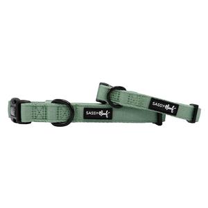 Dog Collar - Sage Outlet Store Cheap Online