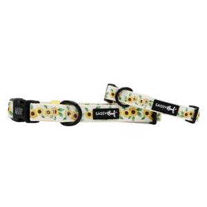 Dog Collar - Sunflower Dreams Discount Exclusive