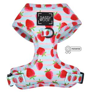 Dog Adjustable Harness - I Woof You Berry Much Discount Great Deals