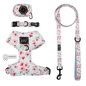 Dog Four Piece Bundle - Sakura Store With Big Discount
