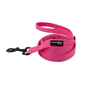 Dog Leash - Neon Pink Genuine Cheap Pice