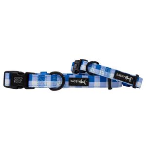 Dog Collar - The Wizard of Paws Quality Free Shipping For Sale
