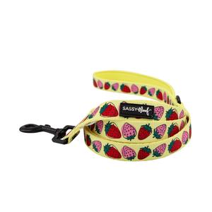 Dog Leash - Strawberry Fields Furever Visa Payment