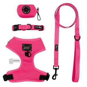 Dog Four Piece Bundle - Neon Pink Amazon Cheap Pice